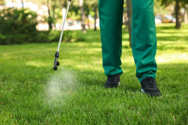 Best Mosquito Control Services  in Country Squire Lakes, IN