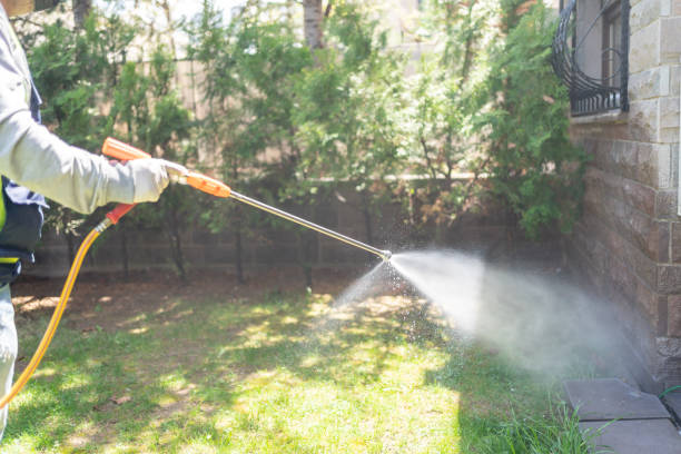 Best Affordable Pest Control Services  in Country Squire Lakes, IN
