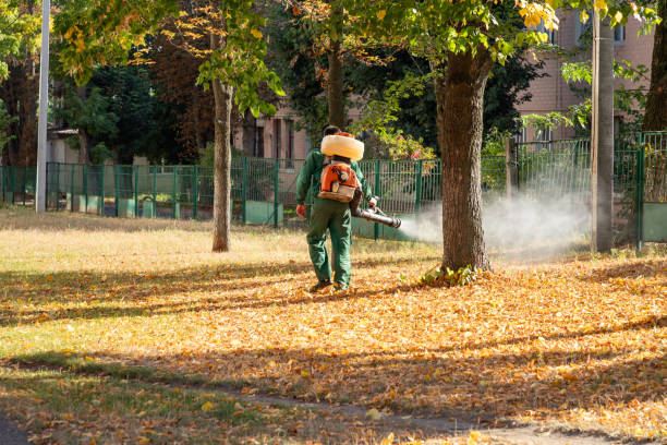 Best Flea Control Services  in Country Squire Lakes, IN