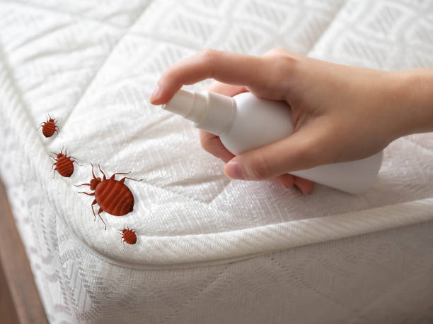 Professional Pest Control in Country Squire Lakes, IN