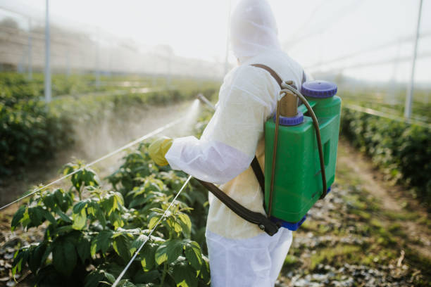 Best Emergency Pest Control  in Country Squire Lakes, IN